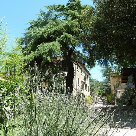 B&B Gabri Cortona Luaran gambar