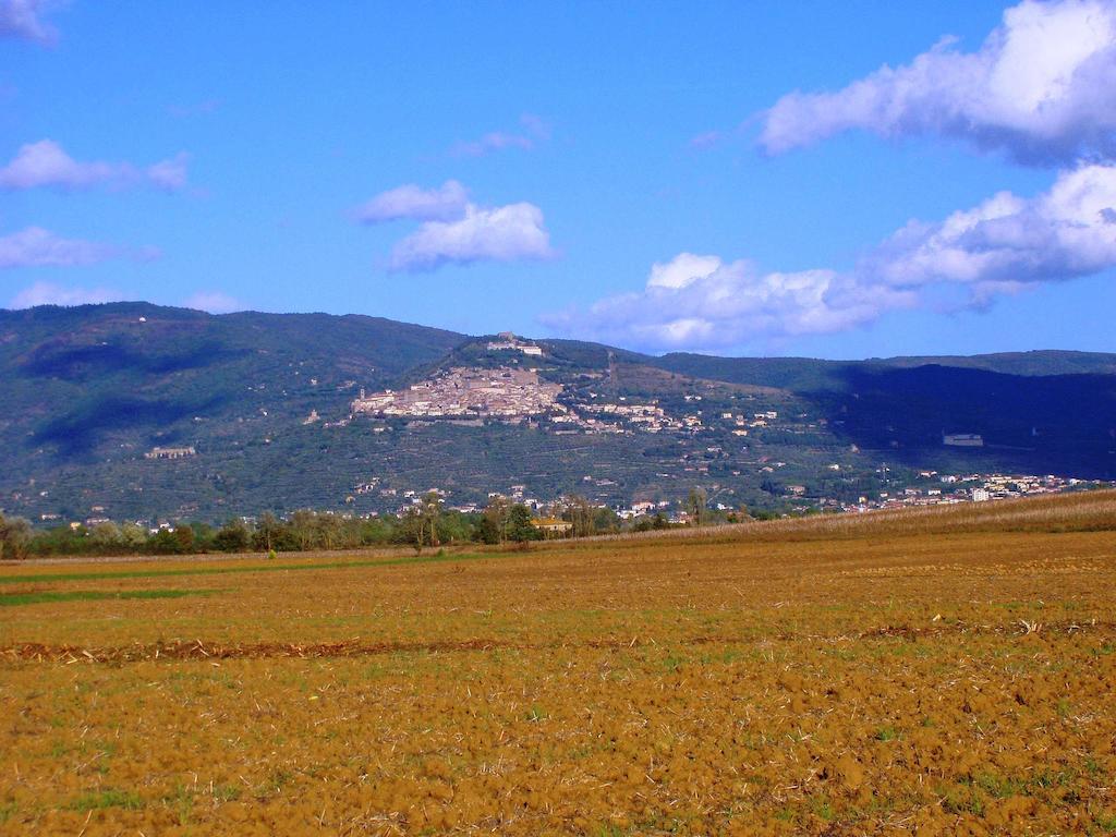 B&B Gabri Cortona Luaran gambar