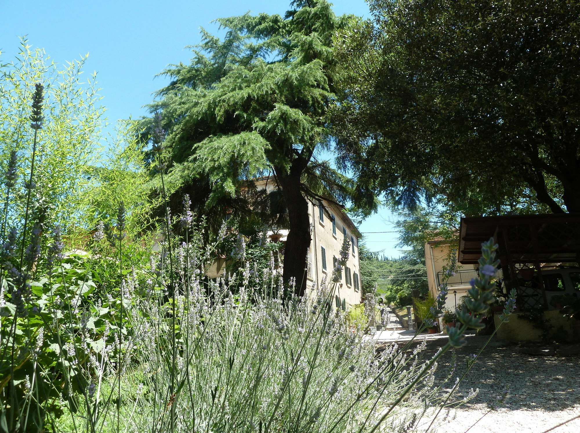 B&B Gabri Cortona Luaran gambar